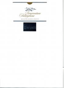 BENEVENTANO FALANGHINA: TRATTASI DI ETICHETTA DELLA CANTINA SANPAOLO DI VINO BIANCO BENEVENTANO FALANGHINA IGP RAFFIGURANTE L IMMAGINE STILIZZATA DI UN PAESAGGIO BENEVENTANO FALANGHINA: TRATTASI DI ETICHETTA DELLA CANTINA SANPAOLO DI VINO BIANCO BENEVENTANO FALANGHINA IGP RAFFIGURANTE L IMMAGINE STILIZZATA DI UN PAESAGGIO CON VIGNETO DI COLORE ARGENTO A FONDO BIANCO E LE PAROLE BENEVENTANO FALANGHINA IN CORSIVO COLOR MARRONE CON SEMICERCHIO MARRONE POSTO AL CENTRO COME DA ESEMPLARE IN ALLEGATO BENEVENTANO FALANGHINA: TRATTASI DI ETICHETTA DELLA CANTINA SANPAOLO DI VINO BIANCO BENEVENTANO FALANGHINA IGP RAFFIGURANTE L IMMAGINE STILIZZATA DI UN PAESAGGIO