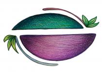 Si tratta di un marchio figurativo a colori, viene rappresentato un seme diviso in due sezioni non simmetriche. La sezione Si tratta di un marchio figurativo a colori, viene rappresentato un seme diviso in due sezioni non simmetriche. La sezione superiore del seme è più piccola e alla sua destra c è un germoglio con tre foglioline e un ramoscello. La sezione inferiore del seme è più grande e alla sua sinistra c è un germoglio con tre foglioline e un ramoscello. Si tratta di un marchio figurativo a colori, viene rappresentato un seme diviso in due sezioni non simmetriche. La sezione