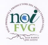 NOI FVG - ALLE RADICI DEL GUSTO - SOLO PRODOTTI E PRODUTTORI DEL FRIULI VENEZIA GIULIA.MARCHIO CON SFONDO BIANCO, CENTRALE NOI FVG - ALLE RADICI DEL GUSTO - SOLO PRODOTTI E PRODUTTORI DEL FRIULI VENEZIA GIULIA. MARCHIO CON SFONDO BIANCO, CENTRALE LA SCRITTA NOI FVG COLOR VERDE SCURO E CHIARO, SOVRAPPOSTA ALL INTERNO DELLA O DI LA REGIONE FVG. ALLA BASE DEL MARCHIO COLLINE BIANCHE CON CONTORNO MARRONE SOVRAPPOSTA ALLA DICITURA ALLE RADICI DEL GUSTO . NEL MARCHIO SI TROVANO LE SEGUENTI PAROLE: SOLO PRODOTTI E PRODUTTORI DEL FRIULI VENEZIA GIULIA noi