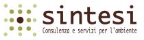 IL MARCHIO E COSTITUITO DALLA DICITURA SINTESI IN COLORE MARRONE. AL DI SOTTO E PRESENTE LA DICITURA CONSULENZA E SERVIZI MARCHIO E COSTITUITO DALLA DICITURA SINTESI IN COLORE MARRONE. AL DI SOTTO E PRESENTE LA DICITURA CONSULENZA E SERVIZI PER L AMBIENTE IN COLORE MARRONE. A SINISTRA E PRESENTE UNA FIGURA FORMATA DA 17 PUNTI DISPOSTI IN POSIZIONE TALE DA FORMARE UN SOLE STILIZZATO, IN CUI IL PUNTO CENTRALE E DI COLORE MARRONE E I PUNTI CIRCOSTANTI SONO DI COLORE VERDE. IL MARCHIO E COSTITUITO DALLA DICITURA SINTESI IN COLORE MARRONE. AL DI SOTTO E PRESENTE LA DICITURA CONSULENZA E SERVIZI