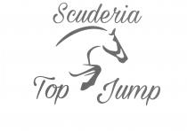 IMMAGINE STILIZZATA DELLA TESTA, DEL COLLO E DELLE GAMBE ANTERIORI DI UN CAVALLO MENTRE AFFRONTA UN SALTO. IL TUTTO INCORNICIATO IMMAGINE STILIZZATA DELLA TESTA, DEL COLLO E DELLE GAMBE ANTERIORI DI UN CAVALLO MENTRE AFFRONTA UN SALTO. TUTTO INCORNICIATO DALLA SCRITTA SCUDERIA TOP JUMP IMMAGINE STILIZZATA DELLA TESTA, DEL COLLO E DELLE GAMBE ANTERIORI DI UN CAVALLO MENTRE AFFRONTA UN SALTO. IL TUTTO INCORNICIATO