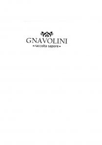 IL MARCHIO CONSISTE NELLA DICITURA GNAVOLINI RACCOLTA SAPORE E NELLA RAFFIGURAZIONE DI FIORI STILIZZATI MARCHIO CONSISTE NELLA DICITURA GNAVOLINI RACCOLTA SAPORE E NELLA RAFFIGURAZIONE DI FIORI STILIZZATI IL MARCHIO CONSISTE NELLA DICITURA GNAVOLINI RACCOLTA SAPORE E NELLA RAFFIGURAZIONE DI FIORI STILIZZATI