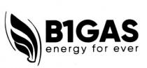 B1GAS - ENERGY FOR EVER