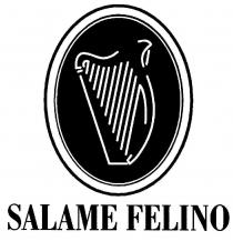 SALAME FELINO