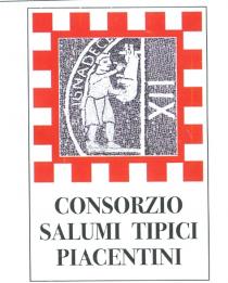 IL MARCHIO E DI FORMA RETTANGOLARE, I COLORI DISTINTIVI SONO IL ROSSO E IL BIANCO, GLI STESSI DELLA PROVINCIA E MARCHIO E DI FORMA RETTANGOLARE, I COLORI DISTINTIVI SONO IL ROSSO E IL BIANCO, GLI STESSI DELLA PROVINCIA E DEL COMUNE DI APPARTENENZA. IL NERO DISEGNA I SOGGETTI. LO SVILUPPO GRAFICO HA DUE PARTI DISTINTE: PARTE SUPERIORE 2/3 : IL CAMPO ROSSO MERLATO INCORNICIA IL PARTICOLARE DEL MOSAICO PAVIMENTALE MONOCROMO, RISALENTE AL XII SECOLO, UBICATO NELLA CRIPTA DELLA BASILICA DI SAN SAVINO A PIACENZA CHE RAPPRESENTA IL MESE DI DICEMBRE CON IL LAVORO DEL NORCINO. IL MOSAICO E NOTEVOLMENTE ROVINATO, NELLA RICOSTRUZIONE E STATA INSERITA LA DATAZIONE XII SULLA SPALLA DESTRA IN VERTICALE DOVE, IN REALTA, E APPENA ACCENNATO IL SEGNO ZODIACALE DEL SAGITTARIO. PARTE INFERIORE 1/3 : LA DICITURA ALLINEATA AL CENTRO: CONSORZIO SALUMI TIPICI PIACENTINI CON L USO DI BODONI SVTYTWO OS ITC RR-BOLD. I DUE ELEMENTI SONO INSCRITTI NEL RETTANGOLO BIANCO CONTORNATO DA UN LEGGERO FILO NERO. IL MARCHIO E DI FORMA RETTANGOLARE, I COLORI DISTINTIVI SONO IL ROSSO E IL BIANCO, GLI STESSI DELLA PROVINCIA E