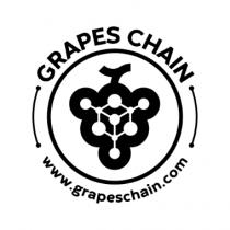 logo è composto da una figura centrale stilizzata di un grappolo d uva, il cui perimetro esterno è caratterizzato da logo è composto da una figura centrale stilizzata di un grappolo d uva, il cui perimetro esterno è caratterizzato da una forma simil-triangolare con tre mezzelune su ognuno dei tre lati. Tale grappolo stilizzato presenta, al suo interno, dieci pallini di diverse dimensioni, a raffigurazione dei chicchi d uva, i quali sono collegati fra essi da una serie di trattini disposti a mo di rete di tipo informatico digitale. All altezza del punto centrale della figura del grappolo, si può riconoscere un cubo, il quale rappresenta il simbolo della tecnologia blockchain, ossia un blocco a forma di cubo. Tale figura stilizzata rappresenta quindi l unione fra l immagine di un grappolo d uva ed un circuito di tipo elettronico-informatico. Essa è situata all interno di un cerchio perfetto, dalla circonferenza leggermente spessa. Nella parte superiore del cerchio, compaiono le parole GRAPES CHAIN, in caratteri maiuscoli, che seguono la linea del cerchio, essendo ogni lettera situata alla stessa distanza dal cerchio. Simmetricamente, nella parte bassa del cerchio, compare la seguente scritta in caratteri minuscoli: www.grapeschain.com, che seguono la linea del cerchio allo stesso modo delle due parole situate nella parte alta. Sui lati destro e sinistro del cerchio, si notano rispettivamente due trattini di uguali dimensioni, forma e caratteristiche - ossia due pallini alle estremità di ogni trattino - che collegano le parole GRAPES CHAIN all indicazione del suddetto sito nella parte bassa del logo, seguendo anch essi la circonferenza del cerchio. Il logo è composto da una figura centrale stilizzata di un grappolo d uva, il cui perimetro esterno è caratterizzato da
