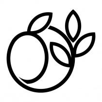 MARCHIO RAFFIGURANTE UN OLIVA ALL INTERNO DI UN ULIVO CHE SIMBOLEGGIA IL CIRCOLO VITALE DI NASCITA DELL ALBERO DI ULIVO MARCHIO RAFFIGURANTE UN OLIVA ALL INTERNO DI UN ULIVO CHE SIMBOLEGGIA CIRCOLO VITALE DI NASCITA DELL ALBERO DI ULIVO MARCHIO RAFFIGURANTE UN OLIVA ALL INTERNO DI UN ULIVO CHE SIMBOLEGGIA IL CIRCOLO VITALE DI NASCITA DELL ALBERO DI ULIVO