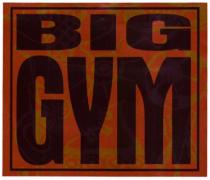 BIG GYM due righe