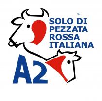 SOLO DI PEZZATA ROSSA ITALIANA A2