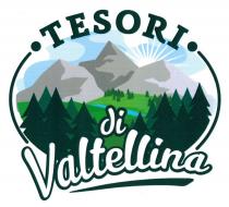 MARCHIO FIGURATIVO DI FORMA OVALE DELIMITATO A DESTRA E A SINISTRA DA LINEE DI COLORE VERDE SCURO. RAPPRESENTA TRE CIME MARCHIO FIGURATIVO DI FORMA OVALE DELIMITATO A DESTRA E A SINISTRA DA LINEE DI COLORE VERDE SCURO. RAPPRESENTA TRE CIME DI MONTAGNE DI COLORE GRIGIO CHIARO E GRIGIO SCURO DI DIVERSE GRADAZIONI. AI PIEDI DELLE MONTAGNE C E UN PRATO DI COLORE VERDE CHIARO E VERDE SCURO, CON DEGLI ABETI VERDE SCURO. PRATO E ATTRAVERSATO DA UN RUSCELLO AZZURRO. IN PRIMO PIANO CI SONO DEGLI ABETI GRANDI VERDE SCURO. DIETRO LE MONTAGNE C E UNO SFONDO AZZURRO CHIARO DA CUI SPUNTA UN SOLE STILIZZATO BIANCO. IN ALTO L OVALE E TAGLIATO DALLA SCRITTA TESORI IN MAIUSCOLO VERDE SCURO, PRECEDUTA E SEGUITA DA UN PUNTO VERDE SCURO. IN BASSO L OVALE E TAGLIATO DALLA SCRITTA BIANCA DI VALTELLINA IN MINUSCOLO CON LA V MAIUSCOLA, SOTTOLINEATA DA UNA RIGA VERDE SCURO. MARCHIO FIGURATIVO DI FORMA OVALE DELIMITATO A DESTRA E A SINISTRA DA LINEE DI COLORE VERDE SCURO. RAPPRESENTA TRE CIME
