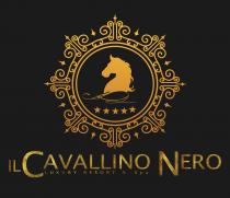 logo è composto da due elementi grafici: una ghirlanda decorativa che al suo interno contiente la silhouette di un logo è composto da due elementi grafici: una ghirlanda decorativa che al suo interno contiente la silhouette di un cavallo unito al tratto grafico di una firma con cinque stelle. L elemento denominativo Il Cavallino Nero è realizzato con il font Lucida Grande; le lettere C e N sono ingrandite al fine di contenere la scritta Luxury Resort Spa. Nella predetta scritta sono inseriti glitter dorati. Lo sfondo del marchio è nero, e i colori dominanti sono una gradazione di giallo fino all ocra. Il logo è composto da due elementi grafici: una ghirlanda decorativa che al suo interno contiene la silhouette di un