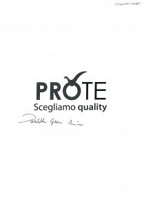 Logo PROTE per te si presenta diviso in due parole PRO e TE. La prima parte della parola, PRO, Logo PROTE per te si presenta diviso in due parole PRO e TE. La prima parte della parola, PRO, scritta in maiuscolo ed in grassetto, presenta sopra la letterea O il segno internazionale della selezione inteso come scelto per te . Lo stesso segno è rappresentato graficametne con il simbolo della famosa colombella, divinità solare nuragica. La seconda parte della parola, TE, scritta in maiuscolo ma non in grassetto, si differenzia volutamente, rispetto alla singola PRO. Infine il pay off, sotto riportato, scegliamo la qualità esprime in toto il concetto del logo. Il Logo PROTE per te si presenta diviso in due parole PRO e TE. La prima parte della parola, PRO