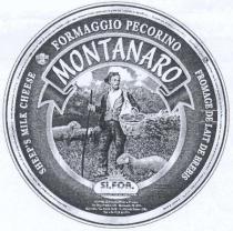 IL MARCHIO CONSISTE NELLA DICITURA IN CARATTERE GRAFICO SPECIALE FORMAGGIO PECORINO MONTANARO, POSTA SU DUE RIGHE. SULLA PRIMA RIGA DICITURA MARCHIO CONSISTE NELLA DICITURA IN CARATTERE GRAFICO SPECIALE FORMAGGIO PECORINO MONTANARO, POSTA SU DUE RIGHE. SULLA PRIMA RIGA DICITURA DI DIMENSIONI MINORI FORMAGGIO PECORINO . SULLA SECONDA RIGA DICITURA MONTANARO POSTA ALL INTERNO DI IMMAGINE A GUISA DI NASTRO CON PUNTE RIPIEGATE SUI LATI ESTERNI. AL DI SOTTO, IMMAGINE DI PASTORE CON PECORE. IL TUTTO ALL INTERNO DI CIRCONFERENZA, COME DA ESEMPLARE IN ALLEGATO. IL MARCHIO VIENE DEPOSITATO IN BIANCO E NERO, MA POTRA ESSERE RIPRODOTTO IN QUALSIASI COLORE O COMBINAZIONE DI COLORI. IL MARCHIO CONSISTE NELLA DICITURA IN CARATTERE GRAFICO SPECIALE FORMAGGIO PECORINO MONTANARO, POSTA SU DUE RIGHE. SULLA PRIMA RIGA DICITURA
