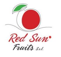 marchio consiste in un impronta raffigurante la dicitura RED SUN FRUITS S.R.L., in caratteri corsivi minuscoli di fantasia con le marchio consiste in un impronta raffigurante la dicitura RED SUN FRUITS S.R.L., in caratteri corsivi minuscoli di fantasia con le lettere iniziali maiuscole, essendo la porzione RED SUN di colore rosso e posta sopra alla dicitura FRUITS S.R.L. di colore nero, il tutto posto al di sotto del disegno stilizzato di un frutto rosso con una fogliolina verde sulla parte superiore di sinistra e contornato il tutto da una linea nera e posto su una linea ondulata Il marchio consiste in un impronta raffigurante la dicitura RED SUN FRUITS S.R.L., in caratteri corsivi minuscoli di fantasia con le