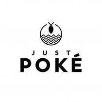 logo Just Pokè è composto da un pittogramma e da una parte nominale. La parte nominale è composta dalle logo Just Pokè è composto da un pittogramma e da una parte nominale. La parte nominale è composta dalle parola Just sulla prima riga e Pokè sulla seconda riga, entrambe scritte in caratteri maiuscoli non graziati sans serif . Le dimensioni della prima parola sono inferiori rispetto alla seconda e presentano un allineamento centrale. Il pittogramma è composto da un cerchio diviso orizzontalmente in due semicerchi. Il semicerchio superiore è vuoto e presenta presso l estremità superiore superiore un simbolo che rappresenta un pesciolino stilizzato a testa in giù. La metà inferiore è occupata da 4 linee curve che simboleggiano il mare.il tutto come da esemplare allegato. Il logo Just Pokè è composto da un pittogramma e da una parte nominale. La parte nominale è composta dalle