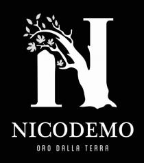 IL MARCHIO È COMPOSTO DA UNA N SCRITTA CON CARATTERE MAIUSCOLO DI FANTASIA. QUESTA LETTERA HA ALLA BASE DELLE RADICI, MARCHIO È COMPOSTO DA UNA N SCRITTA CON CARATTERE MAIUSCOLO DI FANTASIA. QUESTA LETTERA HA ALLA BASE DELLE RADICI, LA LINEA CENTRALE RAFFIGURA IL TRONCO DI UN ALBERO. SUI RAMI CI SONO DELLE FOGLIE, RIPRODUCIBILI IN OGNI COLORE, DI ULIVO E DI VIGNA. E PRESENTE LA PAROLA COMPLETA NICODEMO E LA SCRITTA ORO DELLA TERRA . IL MARCHIO È COMPOSTO DA UNA N SCRITTA CON CARATTERE MAIUSCOLO DI FANTASIA. QUESTA LETTERA HA ALLA BASE DELLE RADICI