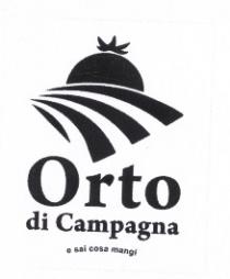 IL MARCHIO CONSISTE NELLA RAPPRESENTAZIONE GRAFICA STILIZZATA DI TRE SOLCHI SCAVATI NEL TERRENO AGRICOLO DI UN ORTO. AL DI SOPRA MARCHIO CONSISTE NELLA RAPPRESENTAZIONE GRAFICA STILIZZATA DI TRE SOLCHI SCAVATI NEL TERRENO AGRICOLO DI UN ORTO. AL DI SOPRA DEI SOLCHI DELL ORTO, SULLA LINEA DELL ORIZZONTE E RAPPRESENTATO UN POMODORO, CHE SEMBRA SORGERE ALL ALBA DEL PRIMO MATTINO. NELLA PARTE BASSA DELLA RAPPRESENTAZIONE GRAFICA SI TROVA LA PAROLA ORTO DI CAMPAGNA SEGUITO DALLO SLOGAN E SAI COSA MANGI IL MARCHIO CONSISTE NELLA RAPPRESENTAZIONE GRAFICA STILIZZATA DI TRE SOLCHI SCAVATI NEL TERRENO AGRICOLO DI UN ORTO. AL DI SOPRA