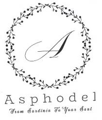 Elemento verbale Asphodel e scritta sottostante From Sardinia To your soul dalla Sardegna la tua anima . La parte Elemento verbale Asphodel e scritta sottostante From Sardinia To your soul dalla Sardegna la tua anima . La parte grafica è rappresentata dalla stilizzazione di una corona floreale che rappresenta la macchia mediterranea. All interno figura La terra A stilizzata. Elemento verbale Asphodel e scritta sottostante From Sardinia To your soul dalla Sardegna la tua anima . La parte