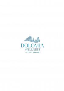 logo è composto da 3 tre righe di testo e da un pittogramma. Nella prima riga si trova la logo è composto da 3 tre righe di testo e da un pittogramma. Nella prima riga si trova la parola DOLOMIA, nella seconda la parola WELLNESS e nella terza, in piccolo, la scritta LAGO DI MOLVENO . Il pittogramma che sovrasta le parole rappresenta le Dolomiti di Brenta attraverso una texture a onde . Il logo è di colore azzurro-verde. Il logo è composto da 3 tre righe di testo e da un pittogramma. Nella prima riga si trova la