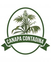 Marchio consiste nella scritta CANAPA CONTADINA abbinata alla figura di un ovale attraversato da un cartiglio; al di sopra Marchio consiste nella scritta CANAPA CONTADINA abbinata alla figura di un ovale attraversato da un cartiglio; al di sopra della scritta è posta la figura stilizzate di una pianta, come riprodotto nell esemplare allegato. Il Marchio consiste nella scritta CANAPA CONTADINA abbinata alla figura di un ovale attraversato da un cartiglio; al di sopra