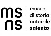 marchio è composto dal logo msns disposto su 2 righe sopra ms e sotto ns posizionato nella zona sinistra del marchio è composto dal logo msns disposto su 2 righe sopra ms e sotto ns posizionato nella zona sinistra del marchio, e dal logotipo museo di storia naturale salento posizionato nella zona destra del machio e disposto su 4 righe: prima riga museo, seconda riga di storia, terza riga naturale, quarta riga salento in grassetto. Logo e logotipo sono separati da una linea verticale, come da esemplare allegato Il marchio è composto dal logo msns disposto su 2 righe sopra ms e sotto ns posizionato nella zona sinistra del