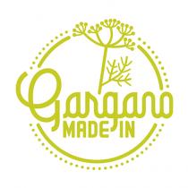 Marchio di forma circolare, con puntini lungo la gran parte esterna del cerchio, con lettering riportante la scritta Gargano Made Marchio di forma circolare, con puntini lungo la gran parte esterna del cerchio, con lettering riportante la scritta Gargano Made In . Sui lati cerchio viene interrotto dalle lettera G maiuscola a sinistra e dalla lettera o minuscola a destra. All interno del cerchio, al di sopra del lettering, è presente un ramoscello di finocchietto selvatico stilizzato, che chiude, fino a sporgersi oltre, la parte superiore del cerchio. Marchio di forma circolare, con puntini lungo la gran parte esterna del cerchio, con lettering riportante la scritta Gargano Made