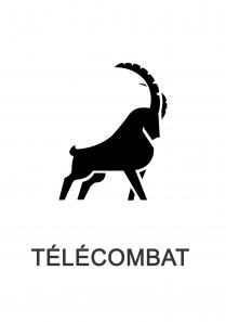 télécombat telecombattimento