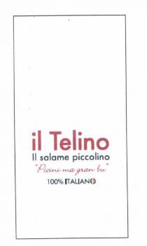 Telino il salame piccolino Picini ma gran bu