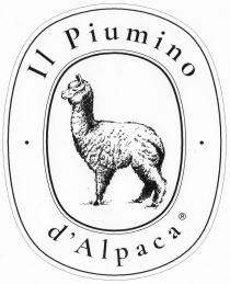 marchio consiste nella raffigurazione di un alpaca di profilo, di colore bianco e nero, con la zampa posteriore sx marchio consiste nella raffigurazione di un alpaca di profilo, di colore bianco e nero, con la zampa posteriore sx arretrata rispetto al corpo. L alpaca è racchiuso in un ovale con doppio bordo interno di colore nero netto, esterno di colore grigio . L ovale è contenuto in un ovale di dimensioni maggiori con doppio bordo interno di colore nero netto, esterno di colore grigio . Tra i due ovali, in alto vi sono le parole Il piumino, in basso d Alpaca seguite dal simobolo di marchio registrato, a dx e a sx in posizione mediana vi è un punto di colore nero. Il marchio consiste nella raffigurazione di un alpaca di profilo, di colore bianco e nero, con la zampa posteriore sx