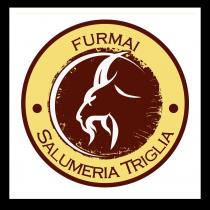 logo presenta una capra stilizzata centrale questa capretta rappresentata di profilo sinistro dal contorno bianco posizionata in un cerchio logo presenta una capra stilizzata centrale questa capretta rappresentata di profilo sinistro dal contorno bianco posizionata in un cerchio di colore marrone che la circonda e ne definisce il profilo lo sguardo della capretta è rivolto verso una sorta di mezza luna molto fina dal colore bianco che si trova ai margini di questo colore marrone Questo strato marrone è circondato da uno strato giallo ocra con venature giallo ocra che lo attraversano nella parte superiore di questo strato di colore giallo ocra si trova la scritta FURMAI di colore marrone, in posizione centrale sempre in questo strato di colore Giallo ocra alla destra e alla sinistra della capretta si trovano due punti di colore marrone, nella parte bassa del logo sotto la capretta e sotto lo strato marrone che la circonda si trova la scritta marrone: SALUMERIA TRIGLIA, questo strato giallo ocra nella parte esterna è circondato da un altro strato marrone più fino dei precedenti che funge da cornice del marchio Il logo presenta una capra stilizzata centrale questa capretta rappresentata di profilo sinistro dal contorno bianco posizionata in un cerchio