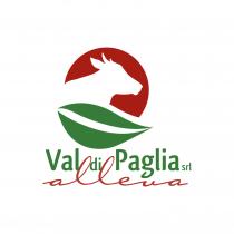 marchio è rappresentato da un pittogramma composto da un cerchio di colore rosso con all interno lo spazio negativo di marchio è rappresentato da un pittogramma composto da un cerchio di colore rosso con all interno lo spazio negativo di un bovino, che si poggia sulla silhouette di una foglia di colore verde. La tipografia VAL DI PAGLIA srl è di font minuscolo regular di colore verde, al di sotto è presente la dicitura ALLEVA di colore rosso e font script. VAL DI PAGLIA srl - ALLEVA figurativo