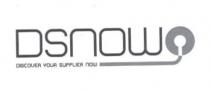 dsnow now