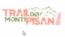 Scritta TRAIL DEI MONTI PISANI sporcata e graffiata in chiave selvaggio outdoor . Le parole TRAIL e PISANI colore arancione come