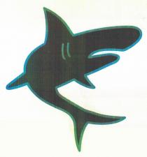 Il logo è composto dal disegno stilizzato di uno squalo di colore nero, bordato di blu.