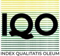 IQO Q
