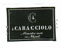 I CARACCIOLO MAESTRI SARTI IN NAPOLI