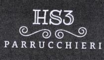 hs3