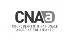 cnaa