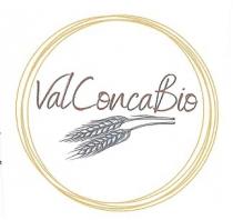valconcabiodicitura valconcabio 49331