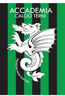 Il marchio è composto da un pittogramma che raffigura il profilo sinistro di un drago sputafuoco di colore bianco con