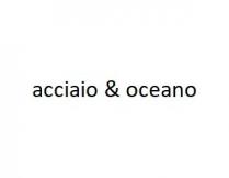 Il marchio consiste nell espressione acciaio oceano redatta con peculiare caratterizzazione tipografica. Il marchio nel complesso non ha alcun significato.