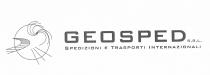 GEOSPED Spedizioni Trasporti Internazionali Srlmarchio