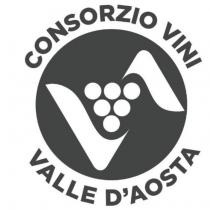 IL MARCHIO CONSISTE NELLA SCRITTA CONSORZIO VINI DELLA VALLE D AOSTA DEPOSITATA IN PARTICOLARE GRAFIA. LA SCRITTA CONTORNA UN CERCHIO AL