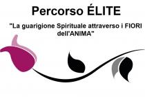 IL MARCHIO CONSISTE NELLA SCRITTA PERCORSO ÉLITE LA GUARIGIONE SPIRITUALE ATTRAVERSO I FIORI DELL ANIMA, RIPRODOTTA IN CARATTERI DI FANTASIA. LA