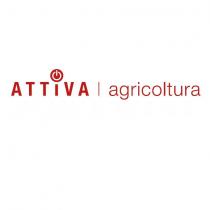 IL MARCHIO E COSTITUITO DALL ESPRESSIONE ATTIVA AGRICOLTURA ABBINATA ALL ELEMENTO GRAFICO COSI COME RAPPRESENTATO IN ALLEGATO.