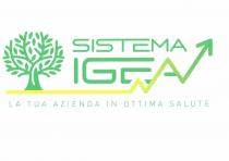 SISTEMA IGEA La