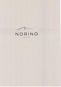 IL MARCHIO CONSISTE IN UN SEGNO GRAFICO SINUOSO AD ONDA, CON ANDAMENTO ORIZZONTALE, CHE RAPPRESENTA SIA LA LETTERA N CALLIGRAFICA