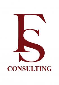 FS CONSULTING