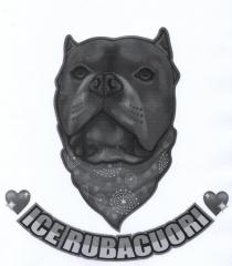 ICE RUBACUORI. Figura rappresentante un cane razza American Bully con sottostante scritta ICE RUBACUORI . font e colori non specificati. Il