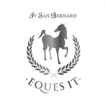 MARCHIO FIGURATIVO COMPRENDENTE LE DICITURE PRIVE DI SIGNIFICATO IV SAN BERNARD ED EQUES IT .